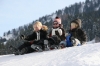 alles_24-3-2008_239.jpg